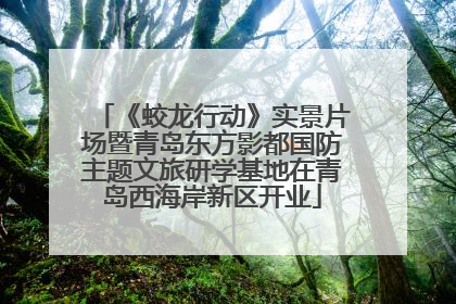 《蛟龙行动》实景片场暨青岛东方影都国防主题文旅研学基地在青岛西海岸新区开业