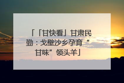 「甘快看」甘肃民勤：戈壁沙乡孕育“甘味”领头羊