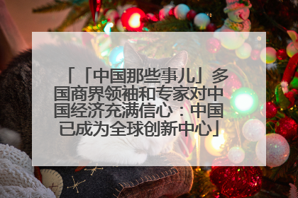 「中国那些事儿」多国商界领袖和专家对中国经济充满信心：中国已成为全球创新中心