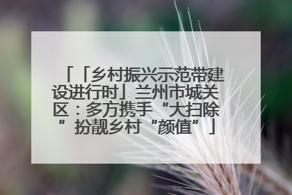 「乡村振兴示范带建设进行时」兰州市城关区：多方携手“大扫除”扮靓乡村“颜值”