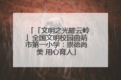 「文明之光耀云岭」全国文明校园曲靖市第一小学：崇德尚美 用心育人