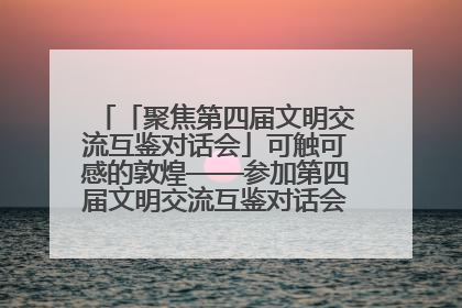 「聚焦第四届文明交流互鉴对话会」可触可感的敦煌——参加第四届文明交流互鉴对话会的外宾参观上元市集