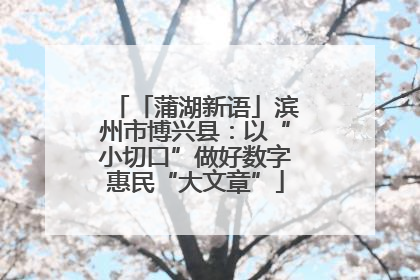 「蒲湖新语」滨州市博兴县：以“小切口”做好数字惠民“大文章”