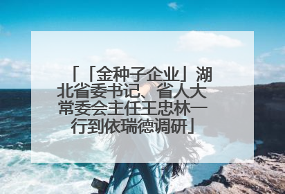 「金种子企业」湖北省委书记、省人大常委会主任王忠林一行到依瑞德调研