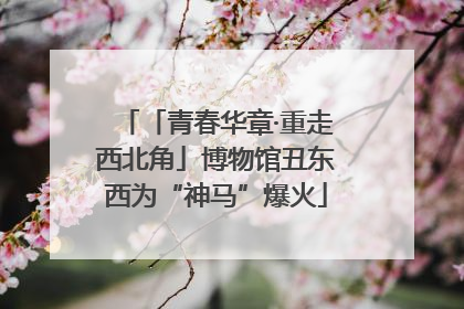 「青春华章·重走西北角」博物馆丑东西为“神马”爆火