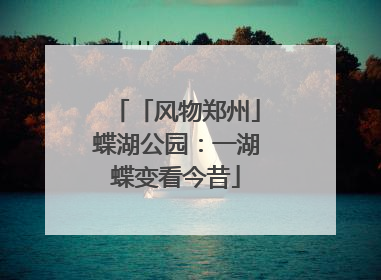 「风物郑州」蝶湖公园：一湖蝶变看今昔