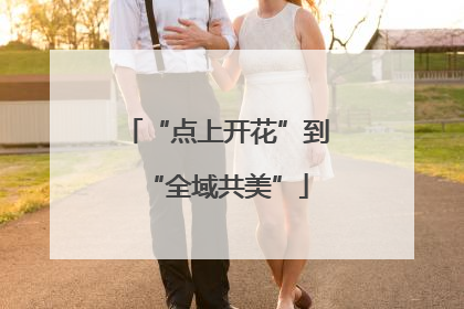 “点上开花”到“全域共美”