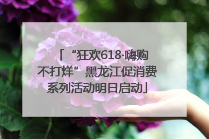 “狂欢618·嗨购不打烊”黑龙江促消费系列活动明日启动