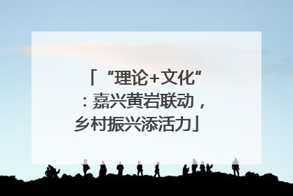 “理论+文化”：嘉兴黄岩联动，乡村振兴添活力
