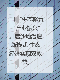 “生态修复+产业振兴”开启沙地治理新模式 生态经济实现双效益