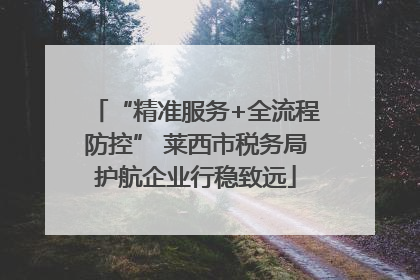 “精准服务+全流程防控” 莱西市税务局护航企业行稳致远