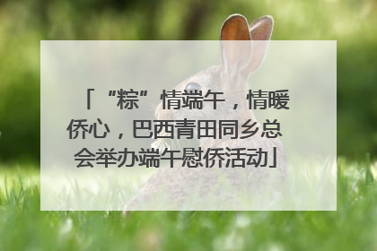 “粽”情端午，情暖侨心，巴西青田同乡总会举办端午慰侨活动