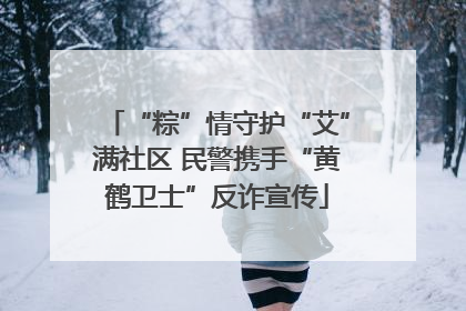 “粽”情守护“艾”满社区 民警携手“黄鹤卫士”反诈宣传