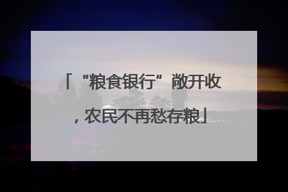 “粮食银行”敞开收，农民不再愁存粮