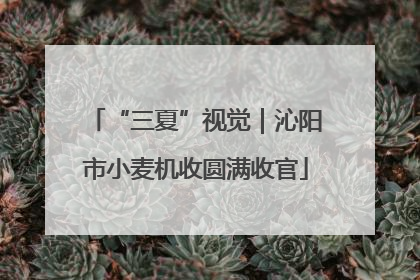 “三夏”视觉｜沁阳市小麦机收圆满收官