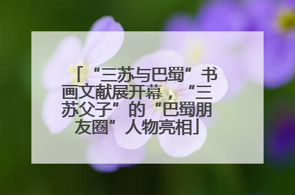 “三苏与巴蜀”书画文献展开幕，“三苏父子”的“巴蜀朋友圈”人物亮相