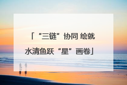 “三链”协同 绘就水清鱼跃“星”画卷