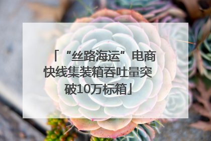 “丝路海运”电商快线集装箱吞吐量突破10万标箱
