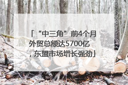 “中三角”前4个月外贸总额达5700亿，东盟市场增长强劲