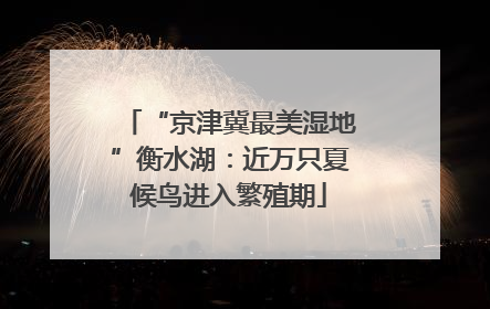 “京津冀最美湿地”衡水湖：近万只夏候鸟进入繁殖期