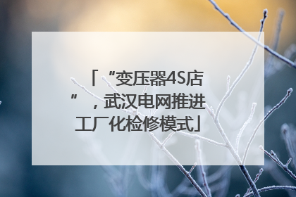 “变压器4S店”，武汉电网推进工厂化检修模式