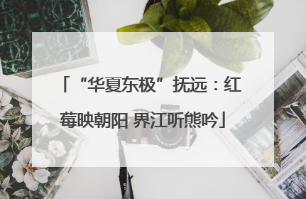 “华夏东极”抚远：红莓映朝阳 界江听熊吟