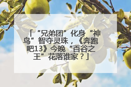 “兄弟团”化身“神鸟”智夺灵珠，《奔跑吧13》今晚“百谷之王”花落谁家？