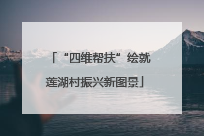 “四维帮扶”绘就莲湖村振兴新图景
