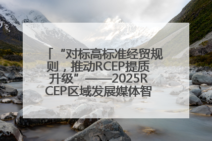 “对标高标准经贸规则，推动RCEP提质升级”——2025RCEP区域发展媒体智库论坛举行专题对话