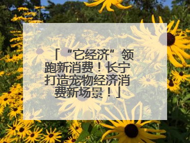 “它经济”领跑新消费！长宁打造宠物经济消费新场景！