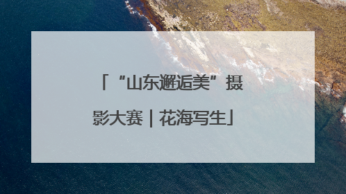 “山东邂逅美”摄影大赛｜花海写生
