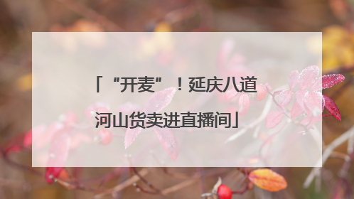 “开麦”！延庆八道河山货卖进直播间