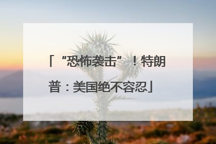 “恐怖袭击”！特朗普：美国绝不容忍