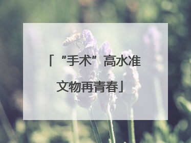 “手术”高水准 文物再青春