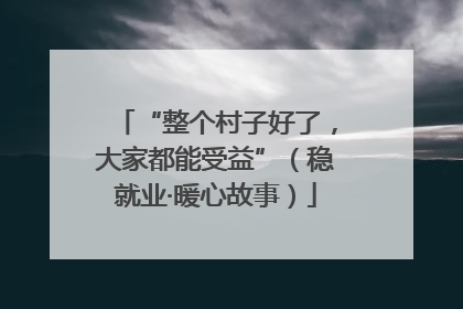 “整个村子好了，大家都能受益”（稳就业·暖心故事）