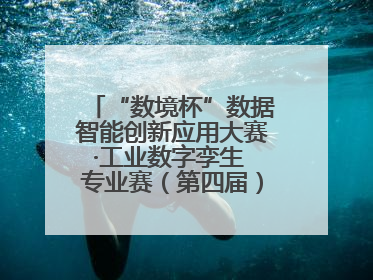 “数境杯”数据智能创新应用大赛·工业数字孪生 专业赛（第四届）全国总决赛及颁奖典礼成功举办