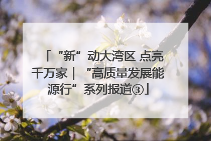 “新”动大湾区 点亮千万家｜“高质量发展能源行”系列报道③