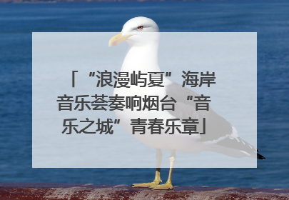 “浪漫屿夏”海岸音乐荟奏响烟台“音乐之城”青春乐章