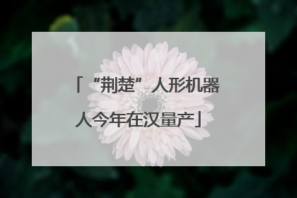 “荆楚”人形机器人今年在汉量产