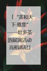 “茶和天下·雅集”——壮乡茶韵展演活动亮相悉尼