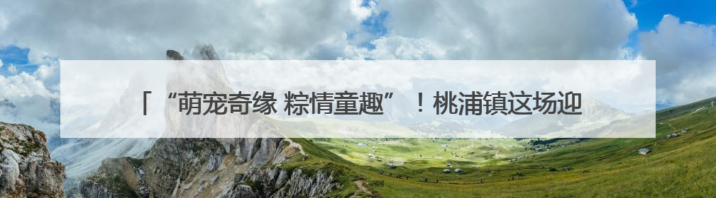 “萌宠奇缘 粽情童趣”！桃浦镇这场迎端午、庆六一主题活动“萌”翻全场～