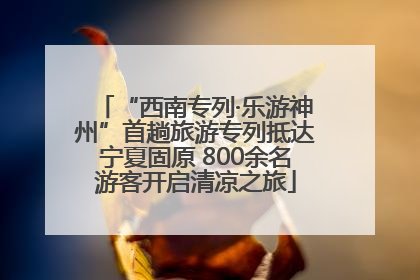 “西南专列·乐游神州”首趟旅游专列抵达宁夏固原 800余名游客开启清凉之旅