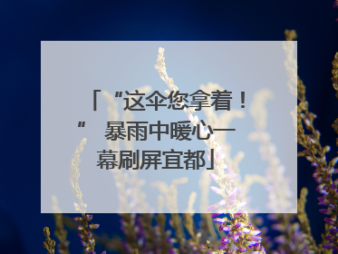 “这伞您拿着！” 暴雨中暖心一幕刷屏宜都