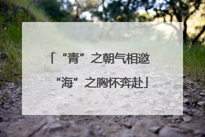 “青”之朝气相邀 “海”之胸怀奔赴