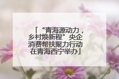 “青海源动力，乡村焕新程”央企消费帮扶聚力行动在青海西宁举办
