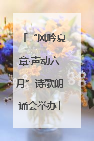 “风吟夏章·声动六月”诗歌朗诵会举办