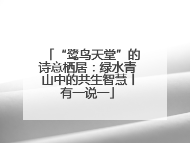 “鹭鸟天堂”的诗意栖居：绿水青山中的共生智慧丨有一说一