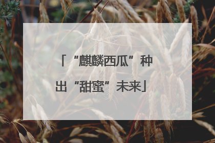 “麒麟西瓜”种出“甜蜜”未来