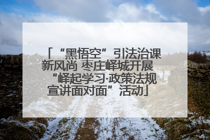 “黑悟空”引法治课新风尚 枣庄峄城开展“峄起学习·政策法规宣讲面对面”活动