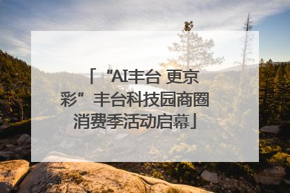 “AI丰台 更京彩”丰台科技园商圈消费季活动启幕